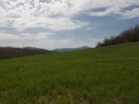 dscn5868_small.jpg