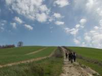 dscn5872_small.jpg