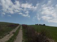 dscn5875_small.jpg