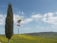 dscn5883_small.jpg