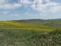 dscn5884_small.jpg