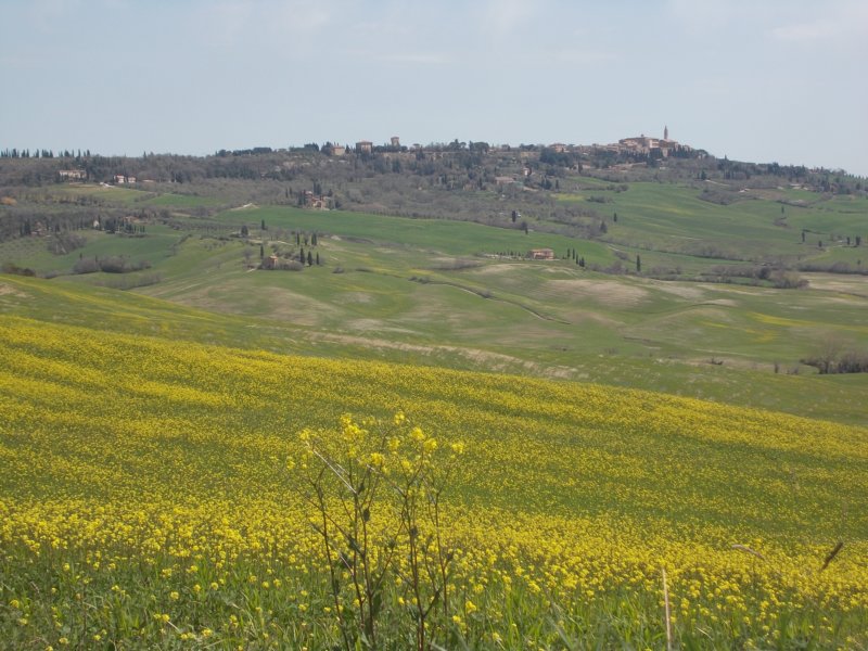 dscn5885.jpg