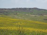 dscn5885_small.jpg