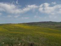 dscn5886_small.jpg