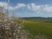 dscn5887_small.jpg