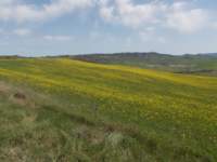 dscn5888_small.jpg