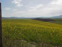 dscn5889_small.jpg