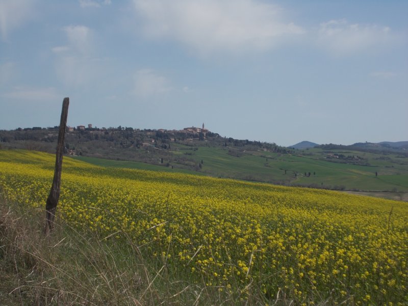 dscn5890.jpg