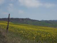 dscn5890_small.jpg