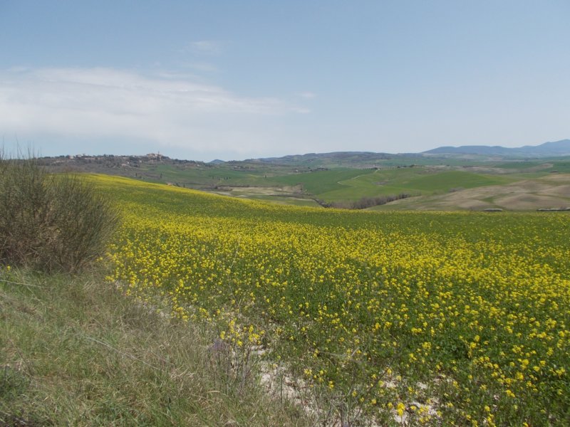 dscn5893.jpg