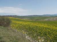 dscn5893_small.jpg