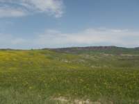 dscn5895_small.jpg