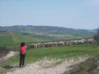 dscn5896_small.jpg