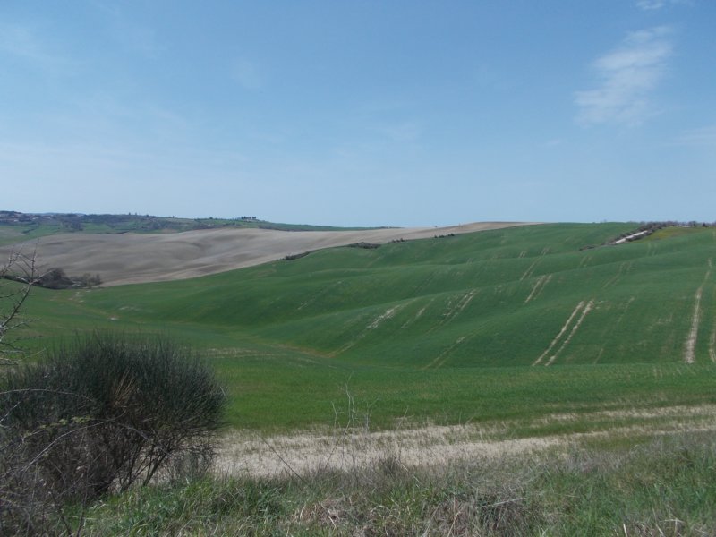 dscn5898.jpg