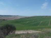 dscn5898_small.jpg
