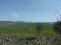 dscn5899_small.jpg