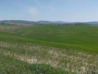 dscn5902_small.jpg