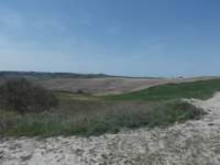 dscn5904_small.jpg