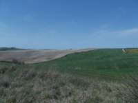 dscn5906_small.jpg