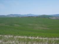 dscn5907_small.jpg