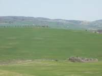 dscn5910_small.jpg