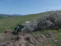 dscn5915_small.jpg