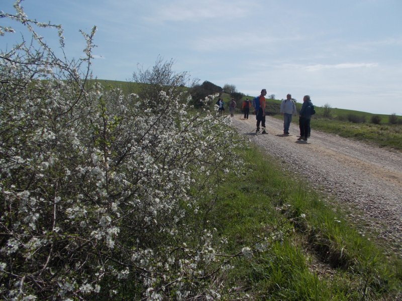 dscn5916.jpg