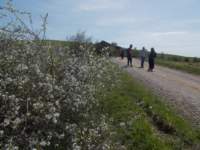 dscn5916_small.jpg