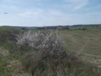 dscn5920_small.jpg