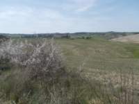 dscn5922_small.jpg
