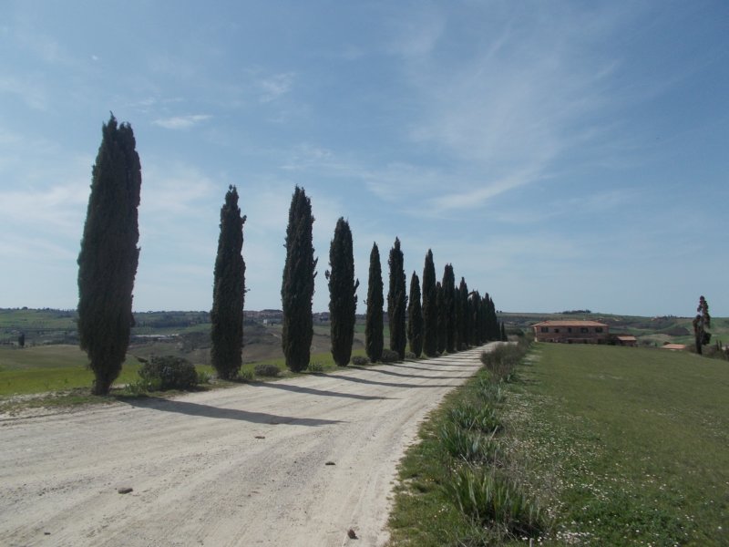 dscn5930.jpg