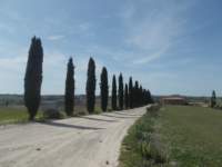 dscn5930_small.jpg