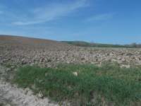 dscn5932_small.jpg