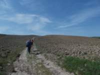 dscn5933_small.jpg