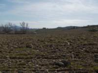 dscn5934_small.jpg