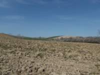 dscn5935_small.jpg