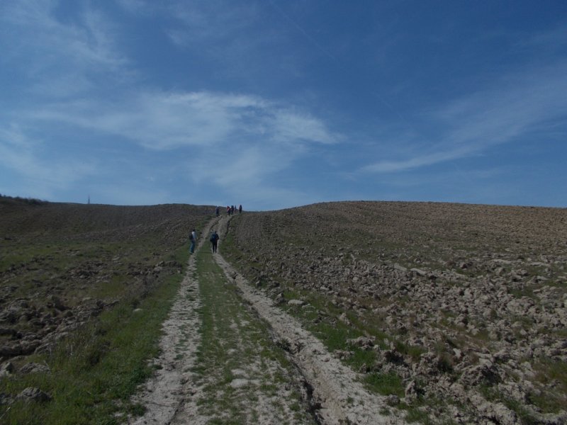 dscn5936.jpg