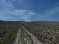 dscn5936_small.jpg