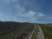 dscn5937_small.jpg