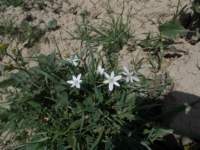 dscn5938_small.jpg