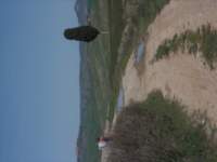 dscn5940_small.jpg