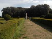 dscn5942_small.jpg
