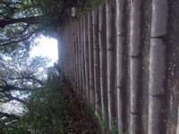 dscn5947_small.jpg