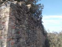 dscn5948_small.jpg