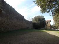 dscn5949_small.jpg