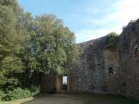 dscn5950_small.jpg