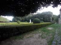 dscn5956_small.jpg