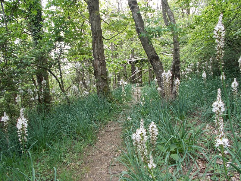 DSCN0322.JPG
