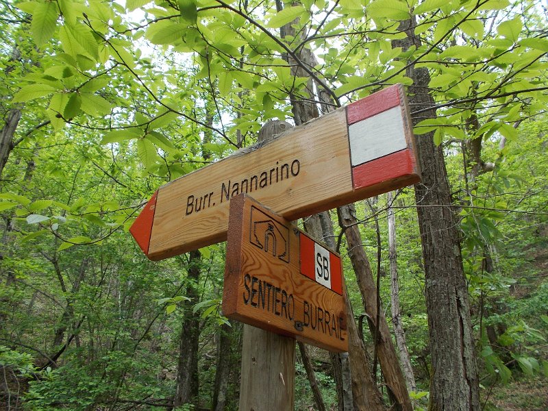 DSCN0324.JPG