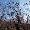 DSCN0641